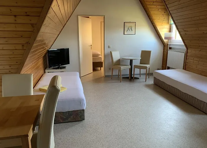 Gaestehaus An Der Rheinbruecke