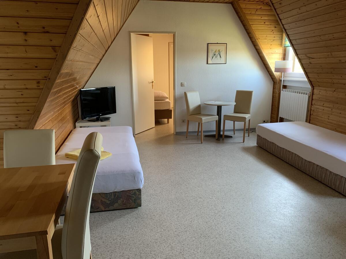 Gaestehaus An Der Rheinbruecke Guest house Altlussheim